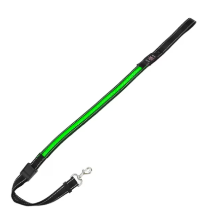Lesa Pentru caini si pisici At Performance, cu Banda LED Albastra, Cusatura Reflectorizanta, cu 3 Moduluri de iluminare, 90-115 cm, Acumulator, Incarcare USB Negru/Verde - Petshop - atMag.ro