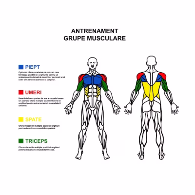 Placa pentru Flotari Multifunctionala, pe baza de culori, cu manere, pentru piept, umeri, spate si triceps, 65cm x 20cm x 10cm - Sport & Travel - atMag.ro